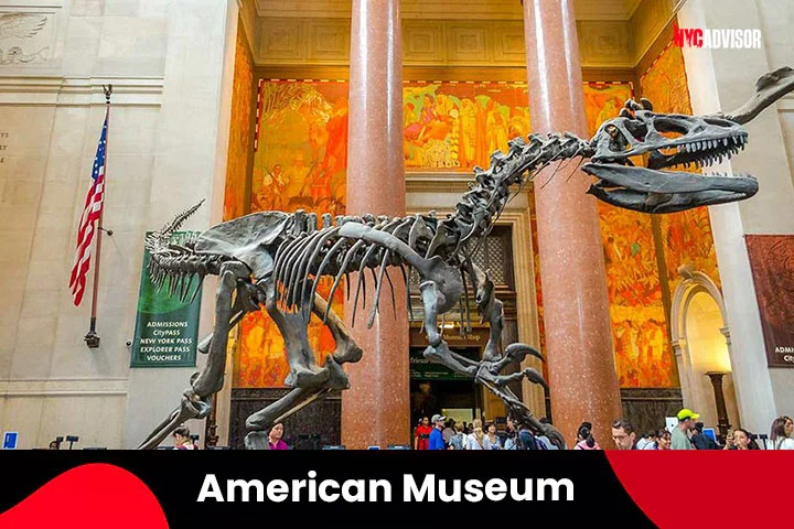 visit ny in november American Museum of Natural History, New York City