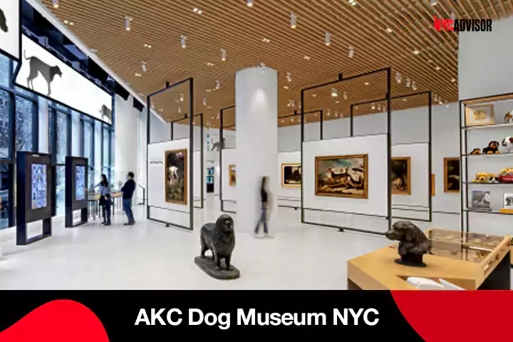 AKC Dog Museum