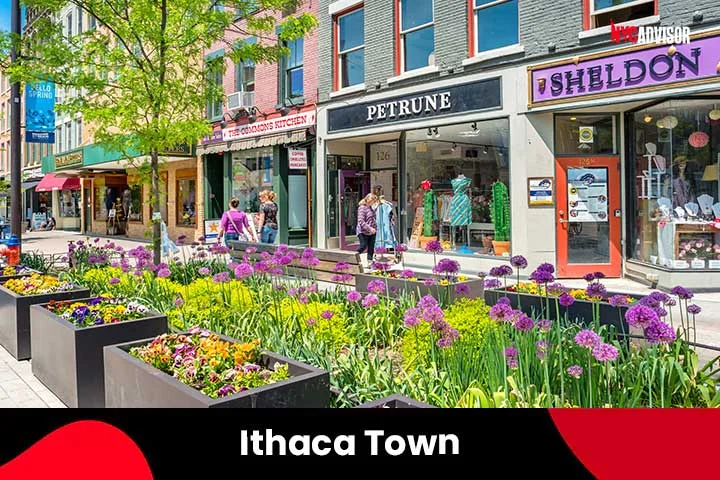 Ithaca Town in New York