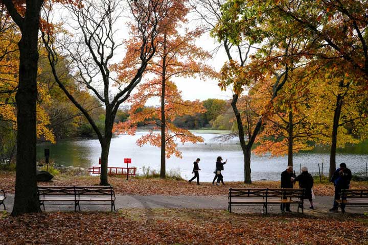 Alley Pond Park