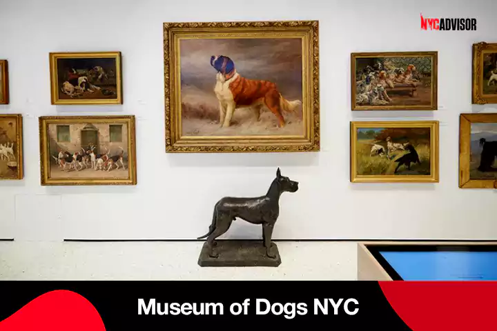 Museum of Dogs