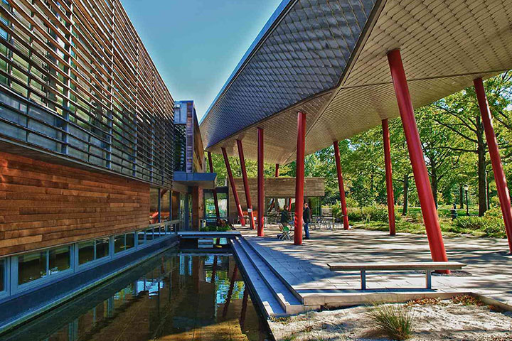 Walk Through Queens Botanical Garden, A Romantic Thing to Do in Queens