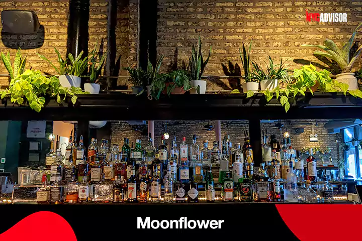 Moonflower Bar New York City