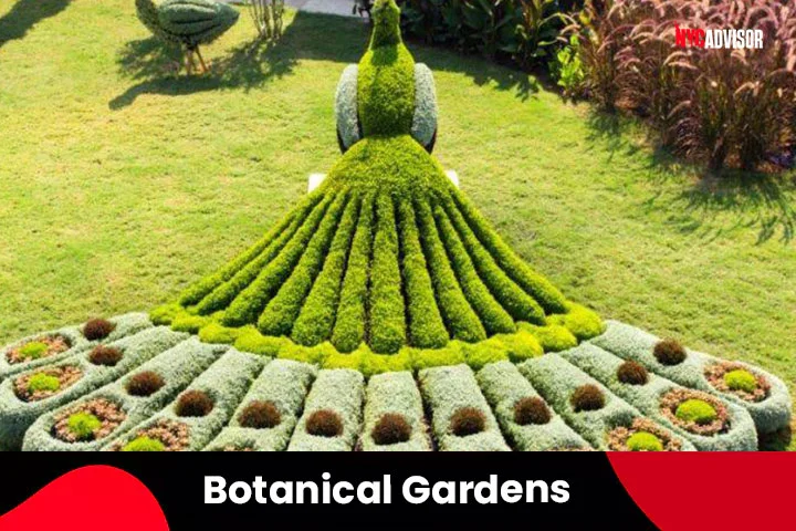 Botanical Gardens in Spring
