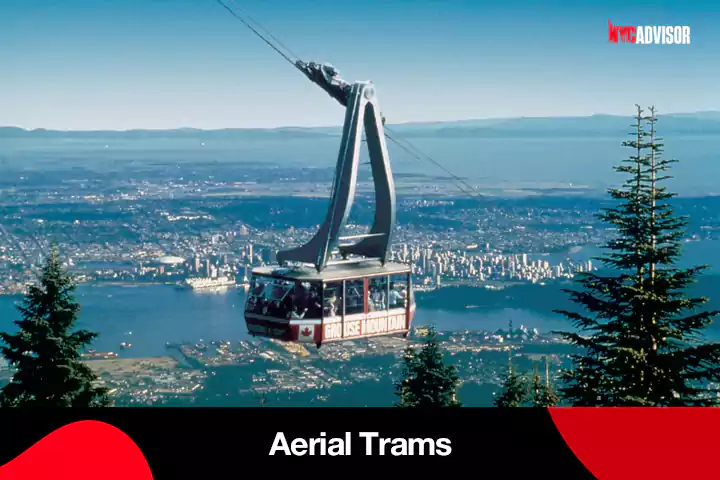 Aerial Trams