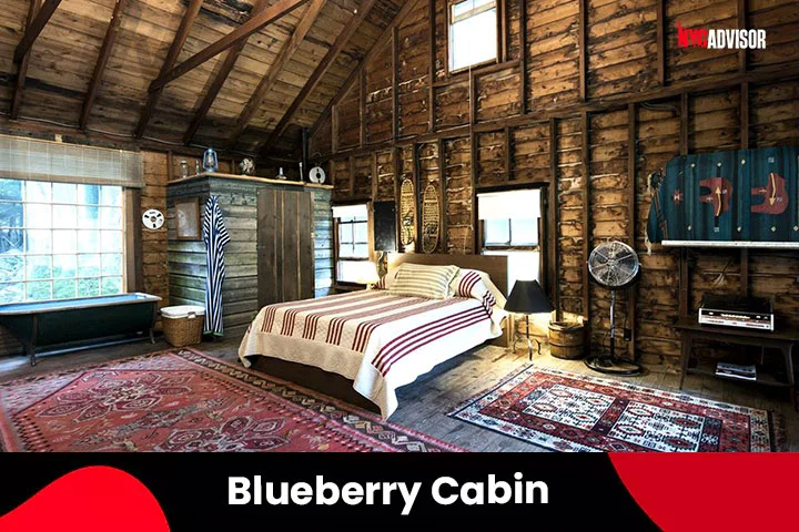 Blueberry Cabin in Willow, Glamping, NY