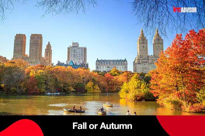 Fall or Autumn in NYC