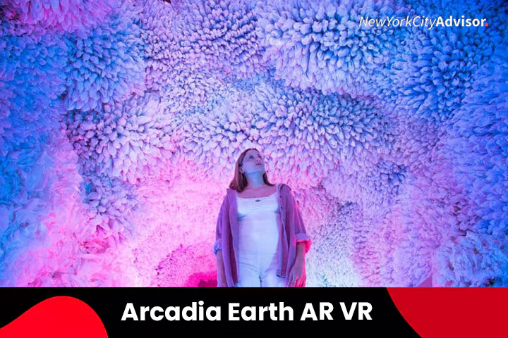 18. Arcadia Earth AR VR Experience, NYC