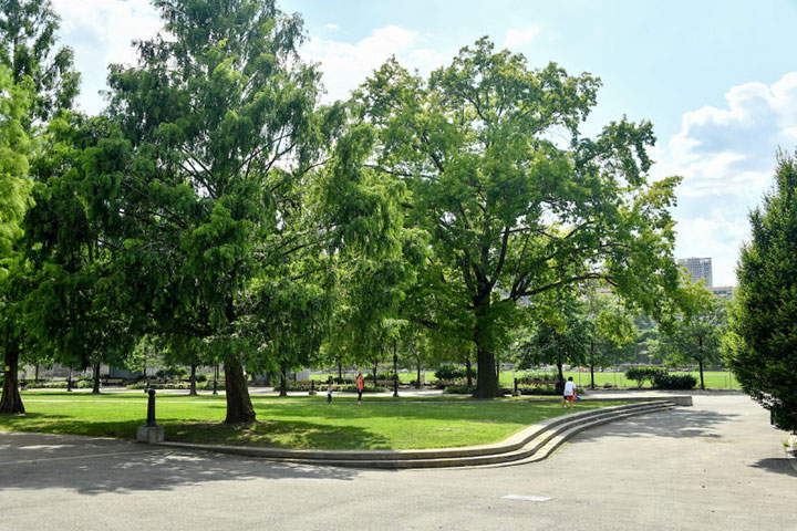 Commodore Barry Park in Fort Greene