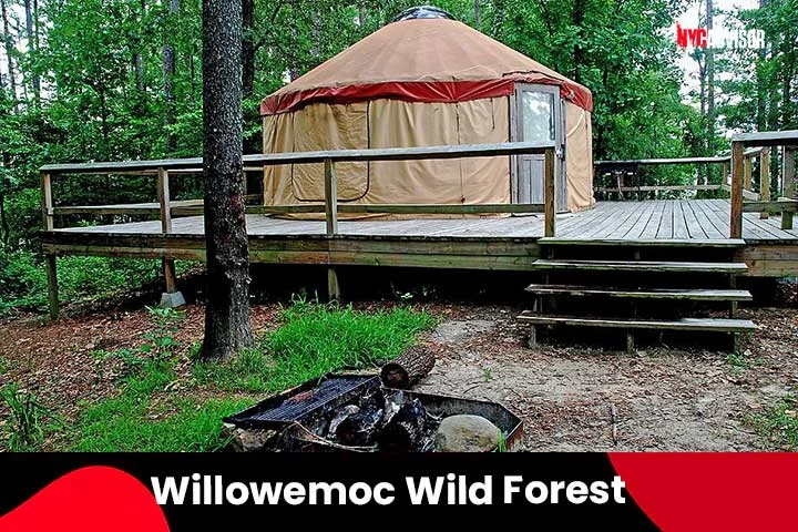 Willowemoc Wild Forest Yurt Campgrounds, New York