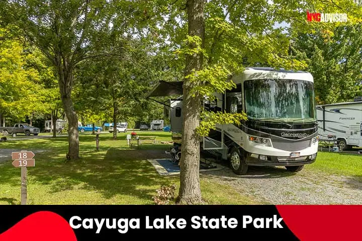 Cayuga Lake State Park