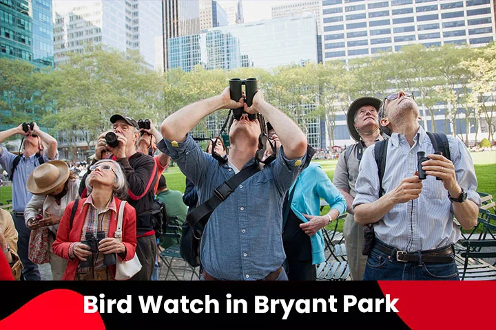 Bird Watch in Bryant Park, New York, October