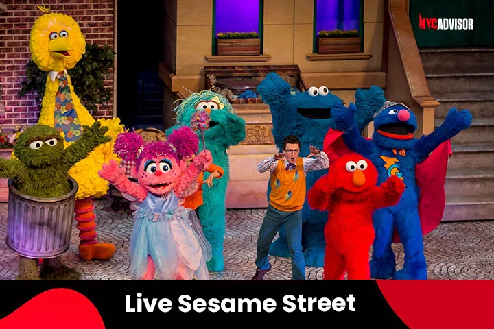 Live Sesame Street