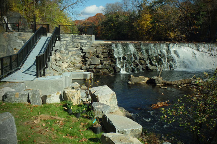 Bronx River Greenway: Scenic Bliss
