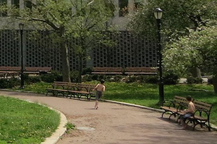 Walt Whitman Park in Downtown Brooklyn