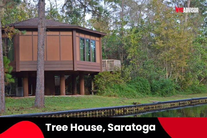 Tree House, Saratoga Springs, NY