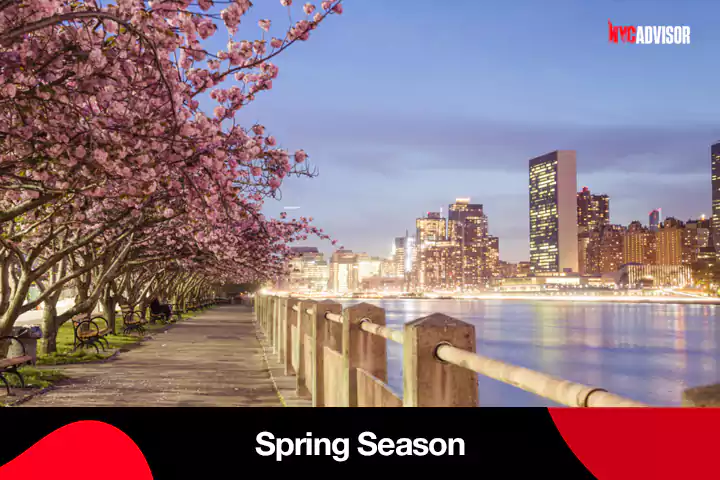 Spring Season in New York City for Tourists and Visitors