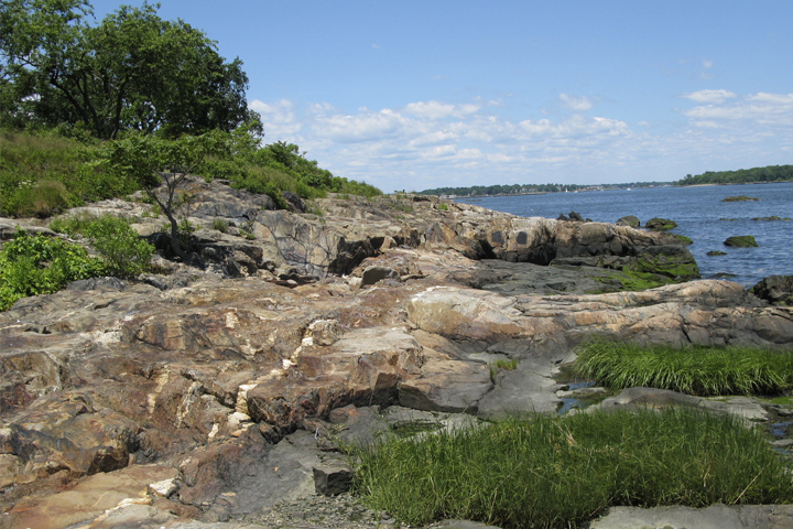 Pelham Bay Park