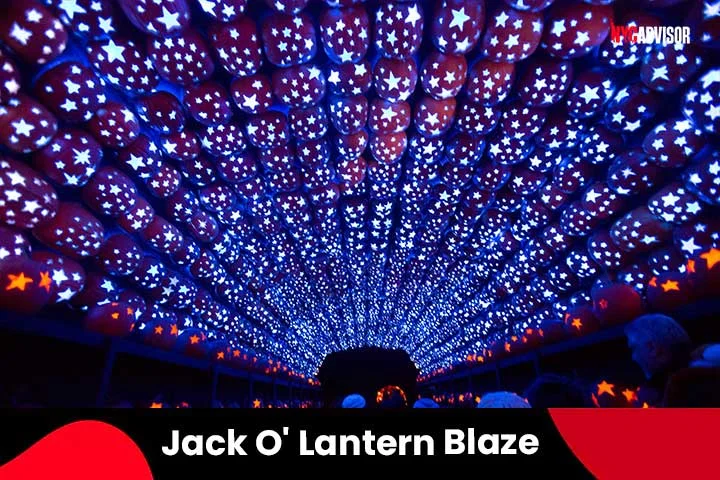Jack O' Lantern Blaze in October, New York