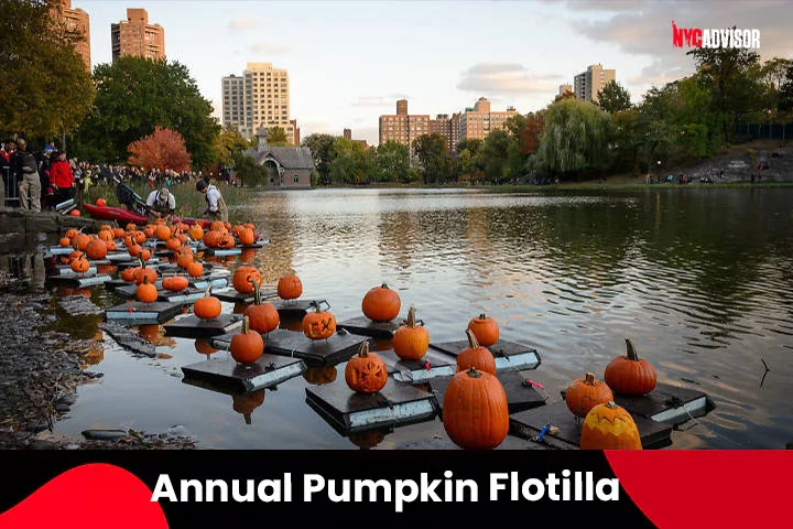 The Annual Pumpkin Flotilla