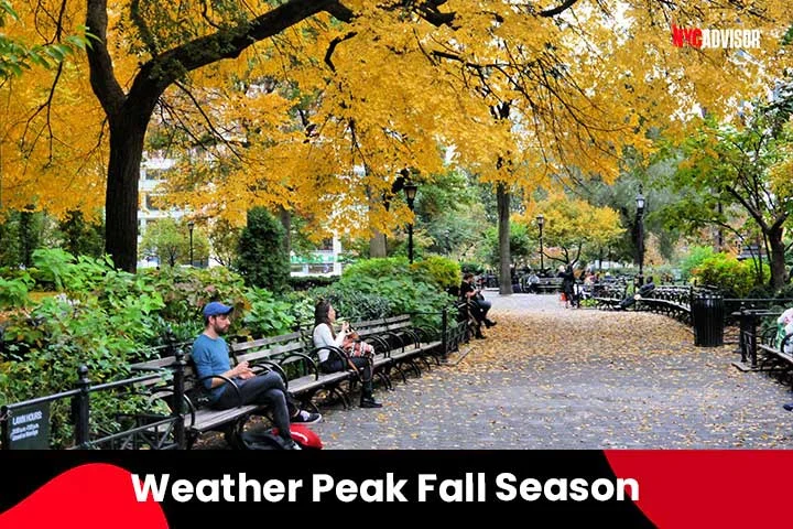 Weather in the Peak Fall Season, November in New York