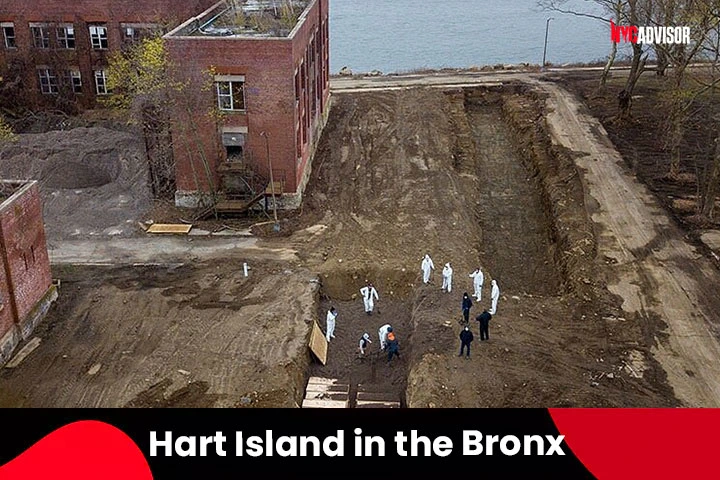 Hart Island in the Bronx