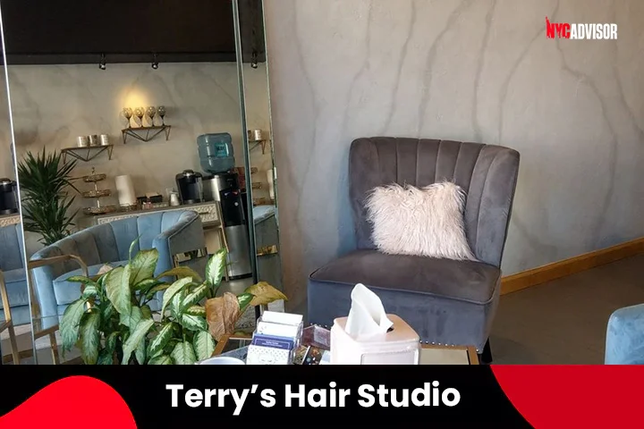 Terrys Hair Studio, Webster, New York