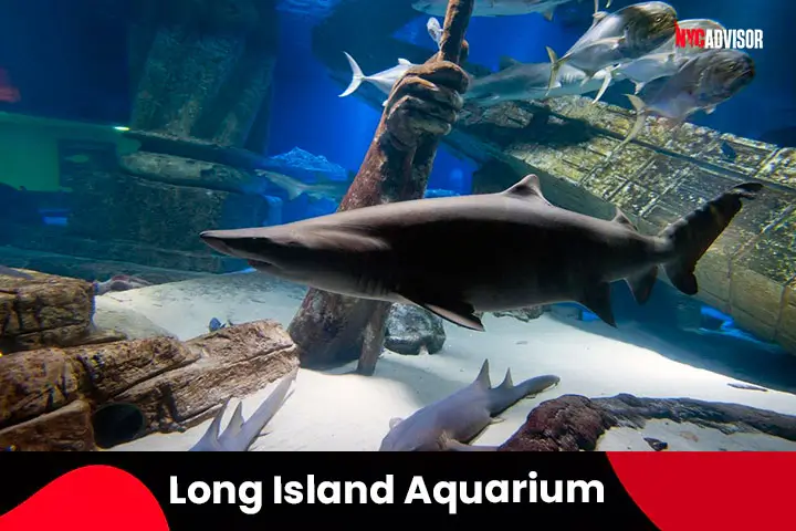 Long Island Aquarium