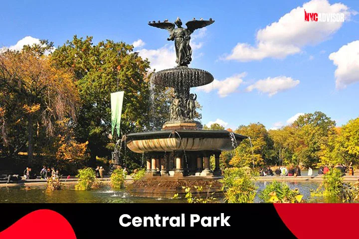 The Scenic Beauty of Central Park