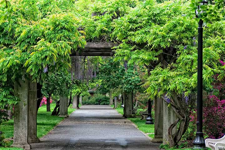 Discover the Brooklyn Botanic Garden