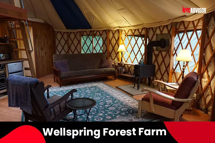 Wellspring Forest Farm Glamping Site, NY