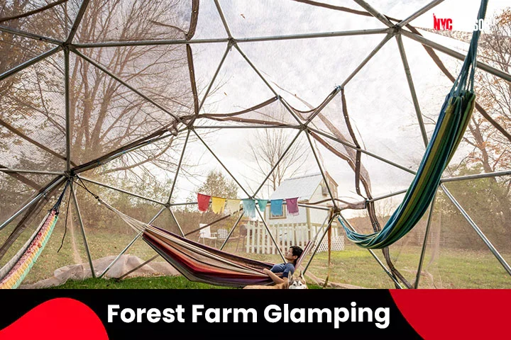 Forest Farm Glamping Site in Coeymans Hollow, NY