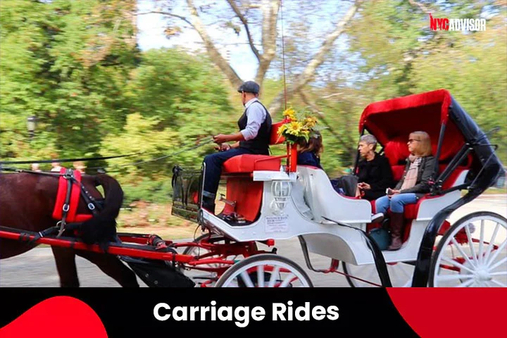 Carriage Rides at Central Park