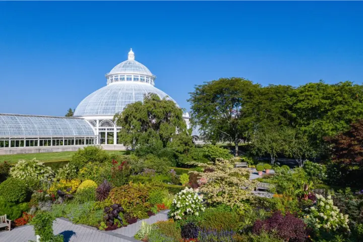 Explore NYC Botanical Gardens in the Summer