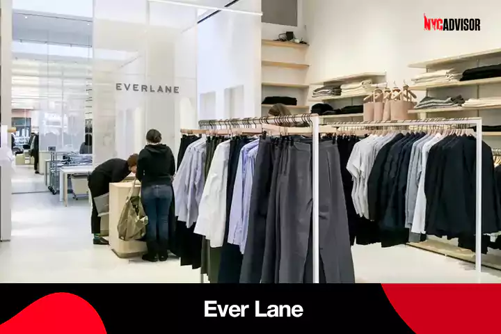The Ever lane, NYC