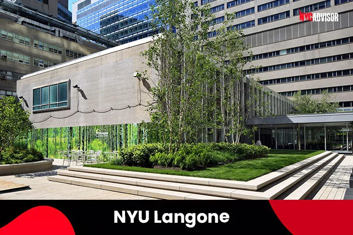 Plumbing Jobs at NYU Langone in New York