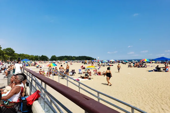 The Bronx Beach