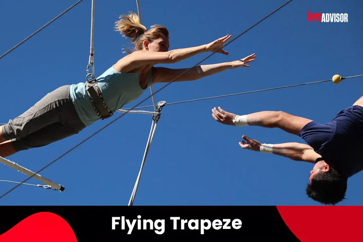 Flying Trapeze