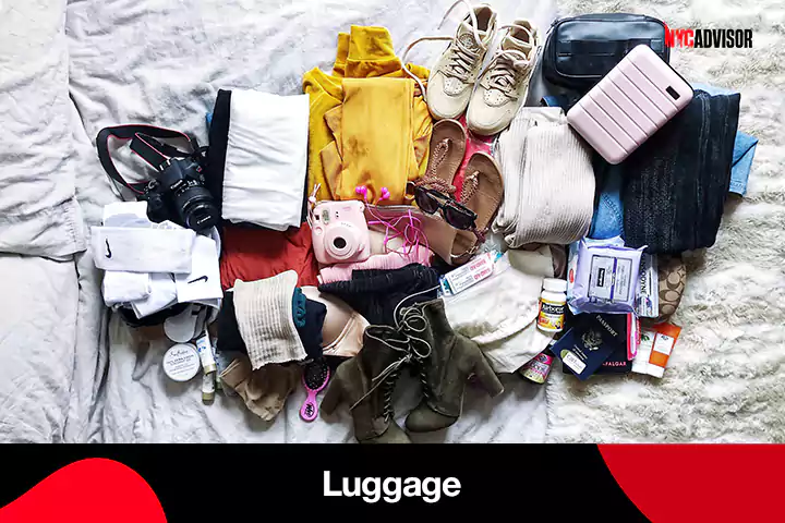 What�s in the Luggage?