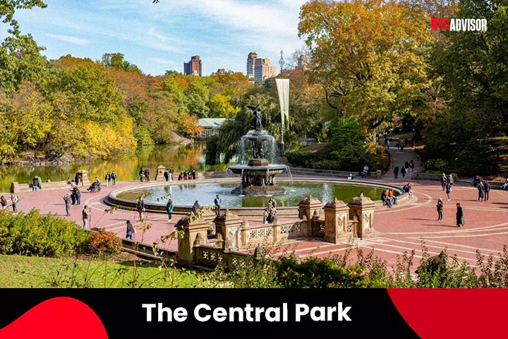 Central Park in NYC