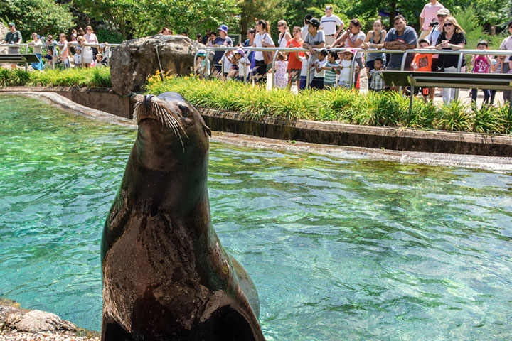 Queens Zoo & Aquarium