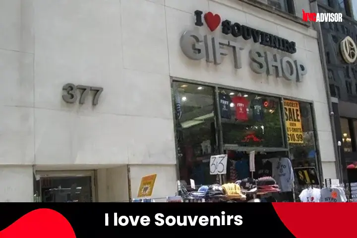 Shopping on New York's Famous 5th Avenue