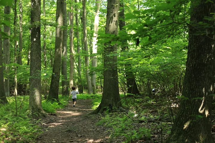 Walk or Bike the Staten Island Greenbelt