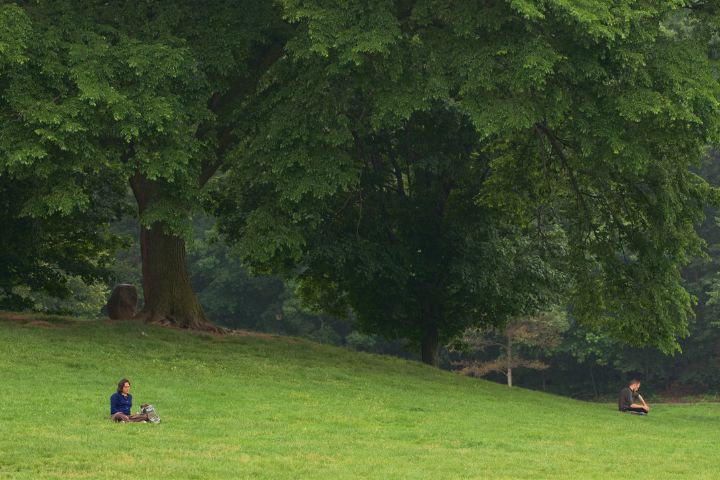 Enjoy Picnic at Lush Green Prospect Park