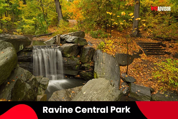 Ravine Central Park Waterfall in NYC