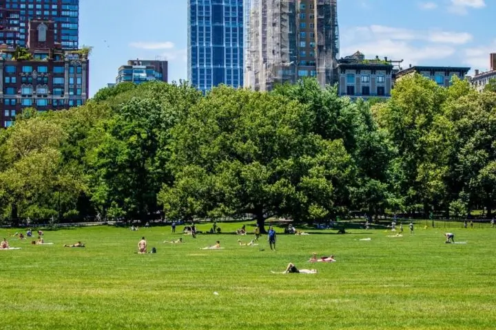 Sheep Meadow