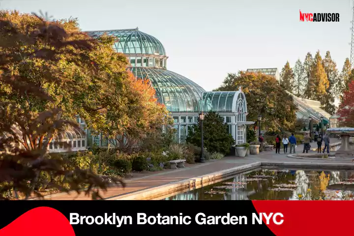 Brooklyn Botanic Garden