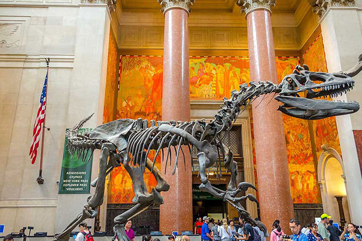 American Museum of Natural History