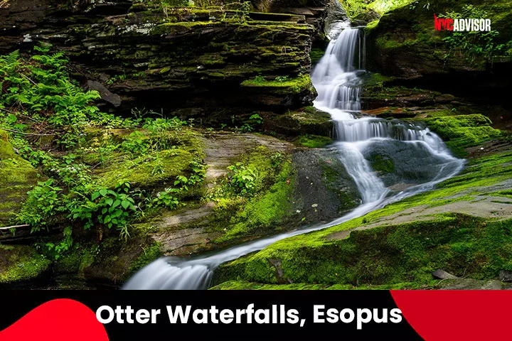 Otter Waterfalls, Esopus Creek, NY