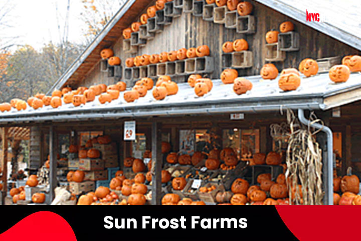 Sun Frost Farms